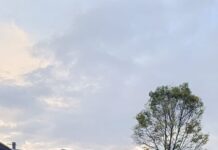 POR QUÉ PARA RADIO DIVERSA ES IMPORTANTE LA INCLUSIÓN DE GÉNERO.